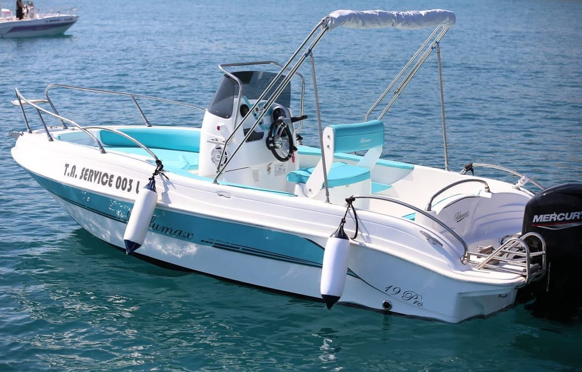 19 pro ALZAPAGLIOLO ACCIAIO INOX TIPO ECLIPSE c/serratura
